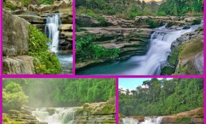 নীলগিরি