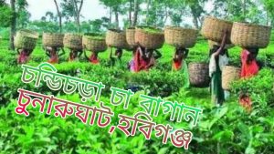 সাতছড়ি