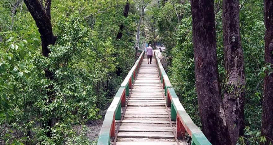 বরগুনার প্রাকৃতিক সৌন্দর্যের লীলাভূমি হরিণঘাটা হরিণঘাটা পর্যটন