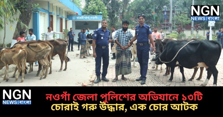 চোরাই গরু উদ্ধার