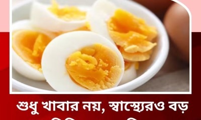 শুধু-খাবার-নয়-স্বাস্থ্য